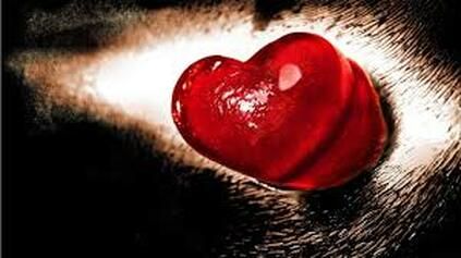 powerful-love-spells-in-netherlands_7.jpg